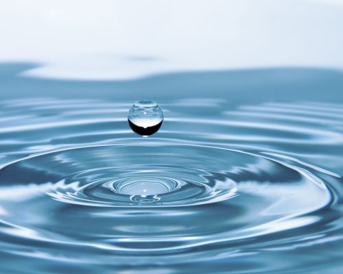 pexels-pixabay-40784